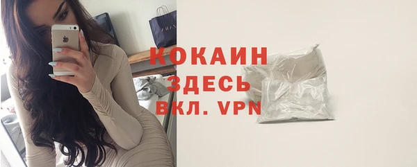 сатива Горнозаводск