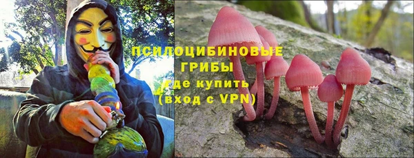 сатива Горнозаводск