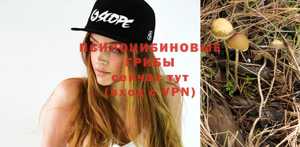 МДПВ Гусиноозёрск