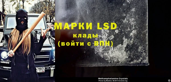 сатива Горнозаводск