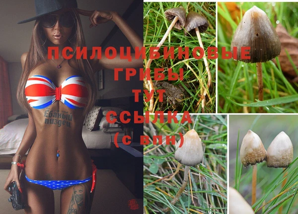 прущий лед Гусев