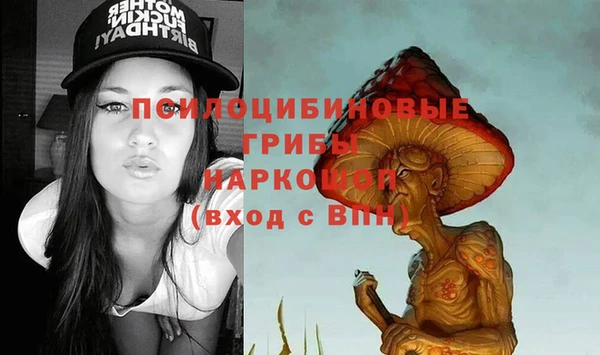 сатива Горнозаводск