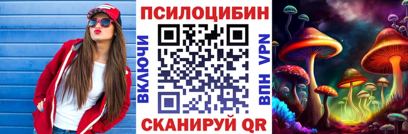 наркотики  blacksprut ССЫЛКА  Псилоцибиновые грибы ЛСД  Циолковский 
